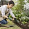 日本人女性が花壇にロール式ガーデンエッジをDIYで設置する様子