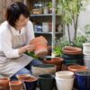 使わない植木鉢のひびや底穴を確認する女性