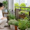 マンションのベランダで花やハーブを楽しむ日本人女性