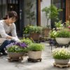 コンクリートの庭で鉢台に載せた花やハーブを手入れする日本人女性