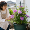 深鉢と支柱を使って鉢植えで育てるクレマチス