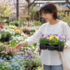 春の園芸店でパンジーやビオラなどの花苗を選ぶ日本人女性