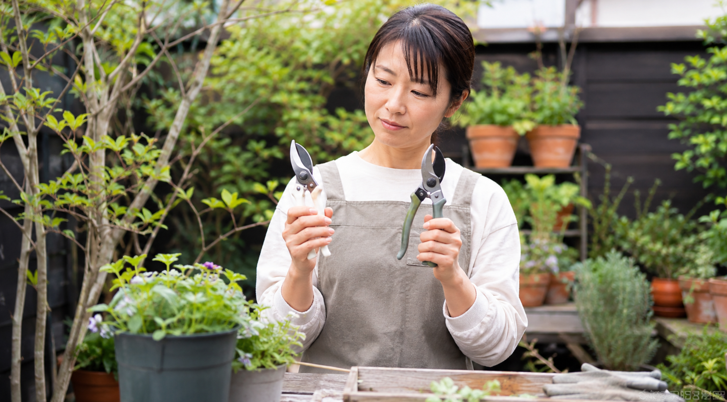 サイズの異なる剪定ばさみを手に持って握りやすさを比較する日本人女性
