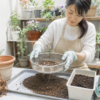 園芸用土ふるいで古い培養土から根や細かな土を分ける様子