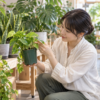 園芸店で初心者向け観葉植物の葉や株の状態を確認する女性