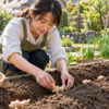 春の家庭菜園で日本人女性が畑の植え溝に種ショウガを並べて植え付けている様子