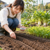 9月の家庭菜園で畝に野菜の種をまく日本人女性と、周囲で育つコマツナやミズナなどの葉物野菜