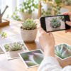 多肉植物の名前を調べるためスマートフォンで複数方向から撮影する様子